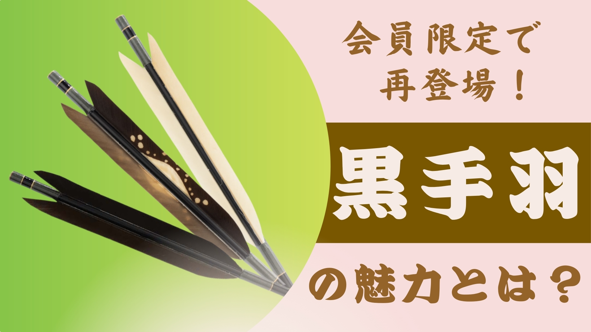 会員限定で再登場！黒手羽の魅力とは？