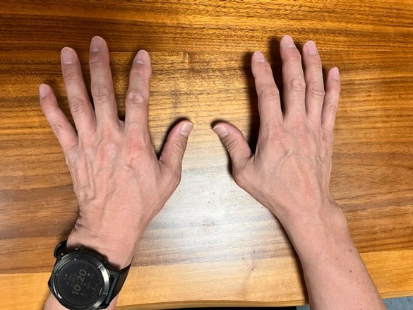 職人様手の甲